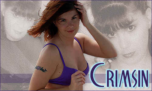 Crimsin SC3 Web Site